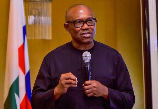 Labour Party presidential candidate, Peter Obi