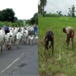 Farmers-Herders Clashes in Benue, many Reportedly killed