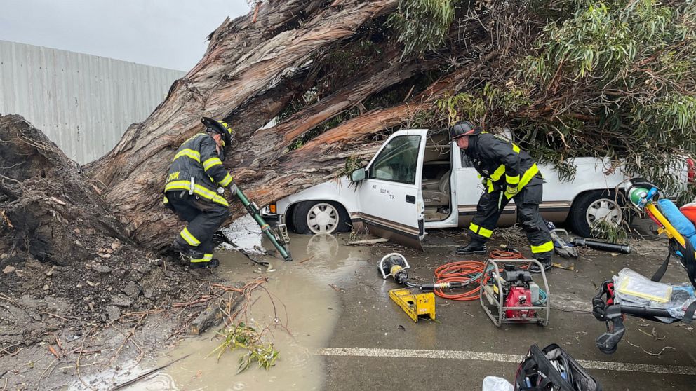 Alameda County firefighters at the scene of a truck crushed by a fallen tree after storms passed through northern California, March 21, 2023, in Newark, Calif. Alameda County Fire