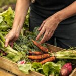 8 Benefit of Consuming Organic Foods