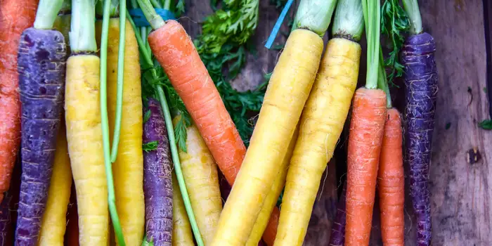Carrots: Nutritious and Delicious Superfood for Your Health