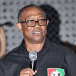 Nobody can force me to leave Nigeria – Peter Obi