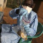 NCDC records 846 Lassa fever cases, 148 deaths  