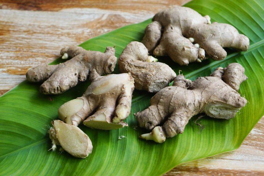 How to use Ginger to last Longer in Bed