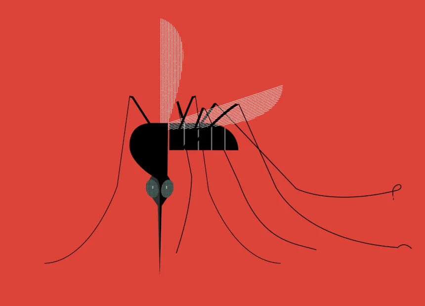 Malaria: Causes, Spread, and how its transmitted
